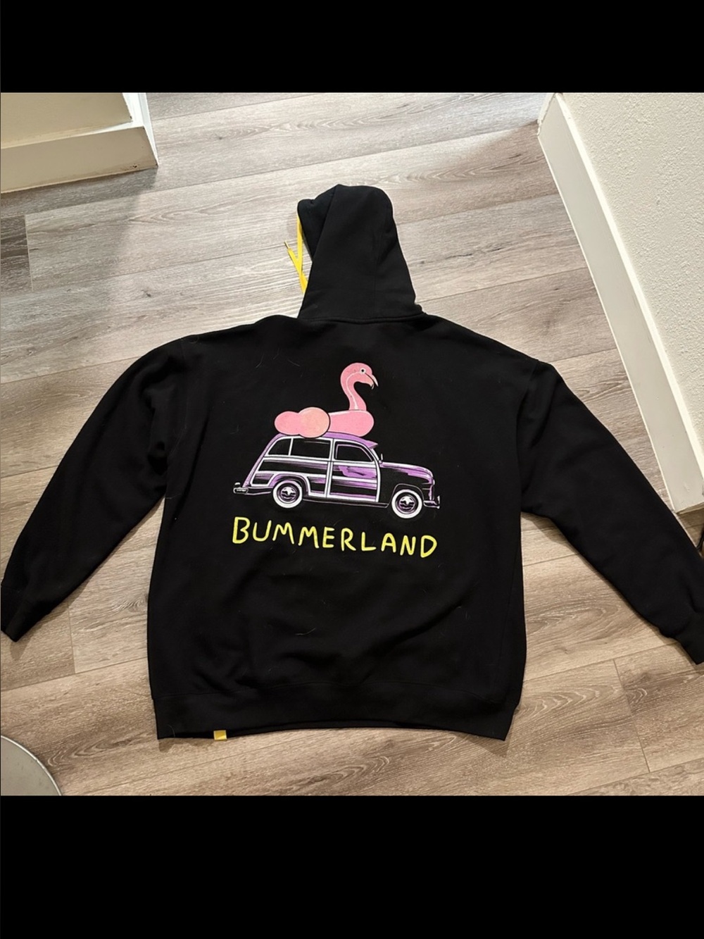 AJR Bummerland hoodie